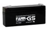 Fiamm FG 10301 AKKUMULÁTOR, 6V-3Ah, FIAMM Fiamm FG 10301 AKKUMULÁTOR, 6V-3Ah, FIAMM