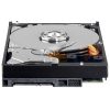 1000GB (1TB) 3.5'' SATA HDD (WINCHESTER) - rögzítőkhöz, kamerás megfigyelőrendszerekhez 1000GB (1TB) 3.5'' SATA HDD (WINCHESTER) - rögzítőkhöz, kamerás megfigyelőrendszerekhez